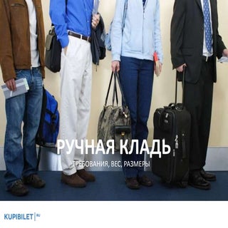 Ручная кладь