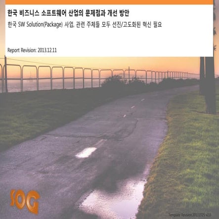 한국 비즈니스 소프트웨어 산업 문제점과 개선방안