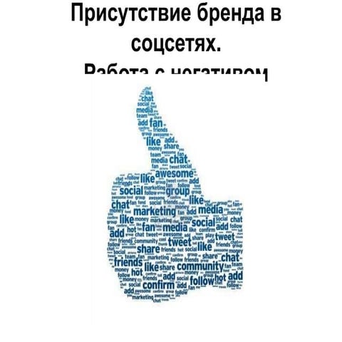 Присутствие бренда в соцсетях. Работа с негативом