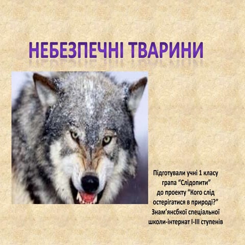 ppt