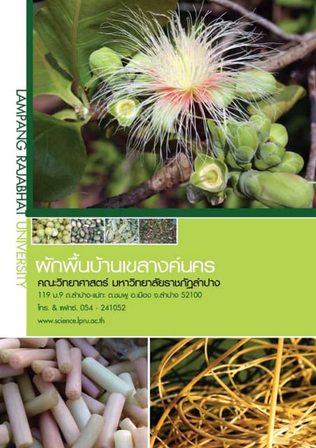 ผักพื้นบ้านเขลางค์นคร