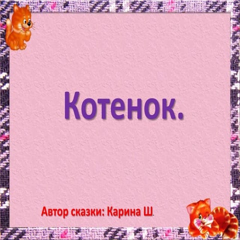 котенок