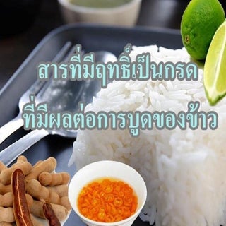 โครงงาน เพาว์เวอร์พอย