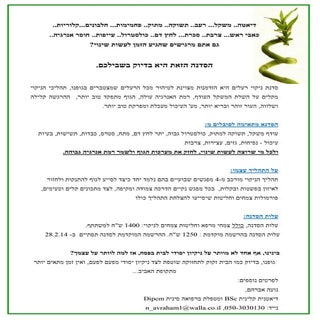 סדנת ניקוי רעלים 