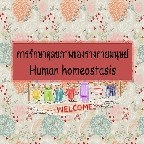 โครงงานคอมพิวเตอร์