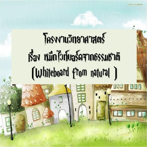 โครงงานวิทยาศาสตร 