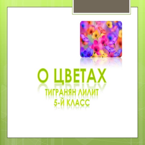 о цветах | PPT