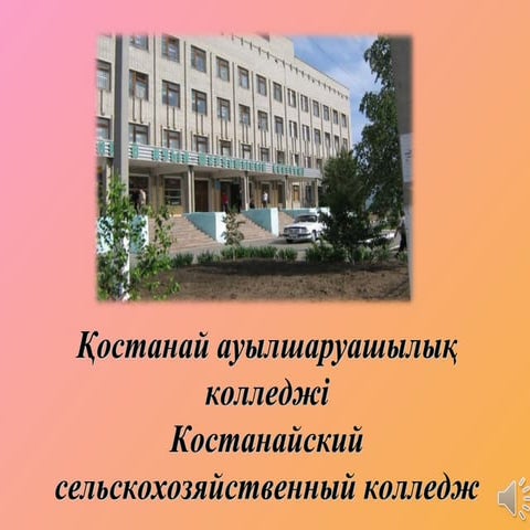 Презентация | PPT