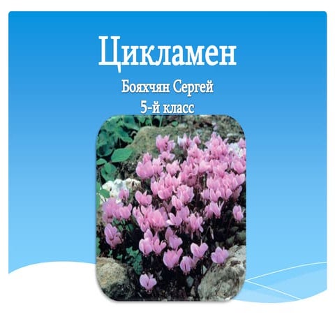 цветы 5 3 класс | PPTX