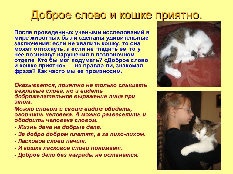 доброе слово и кошке приятно. презентация.