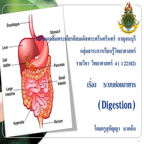 ระบบย่อยอาหาร