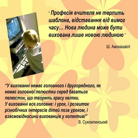 портфоліо вишневецької о.п.