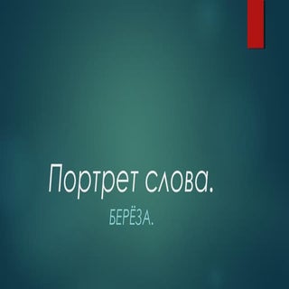 Портрет слова БЕРЁЗА