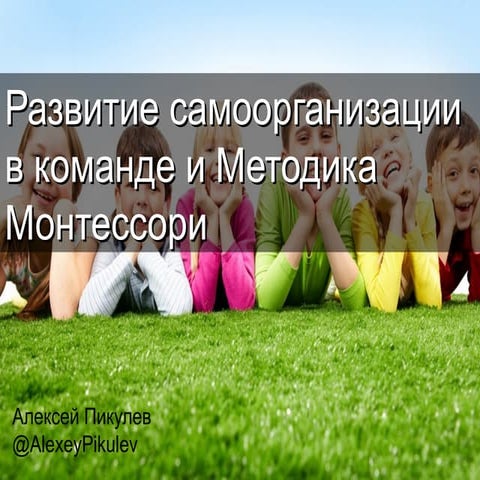 Развитие самоорганизации в команде и методика Монтессори