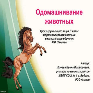 одомашнивание животных