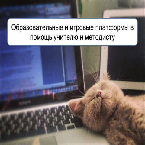 Мастер-класс: начало