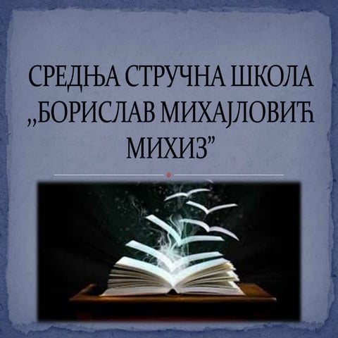 средња стручна школа ,,борислав михајловић михиз