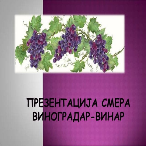 виноградар винар
