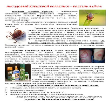 желтая лихорадка