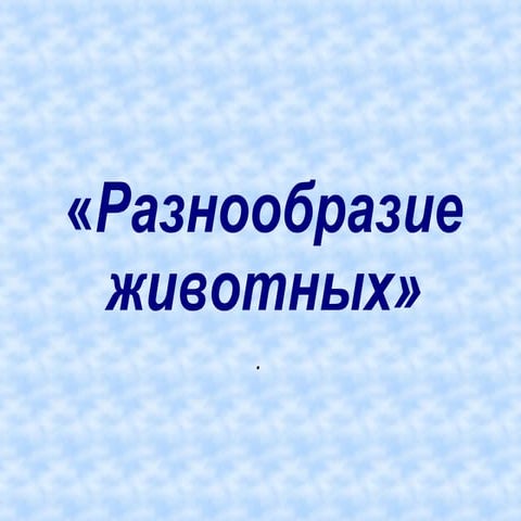 Разнообразие животных