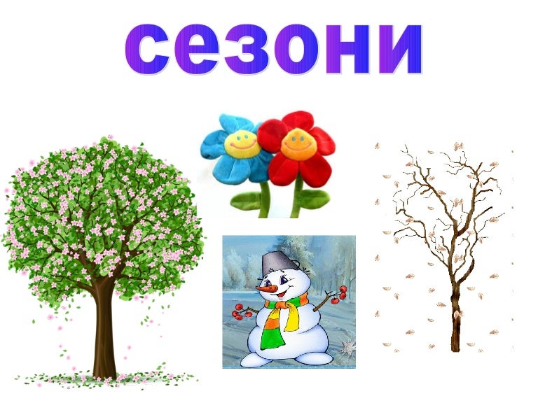 Сезони