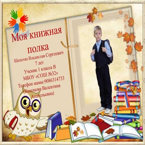 моя книжная полка