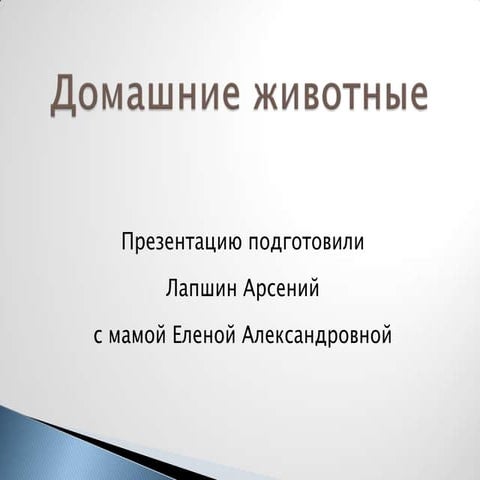 Презентация "Домашние животные" | PPT