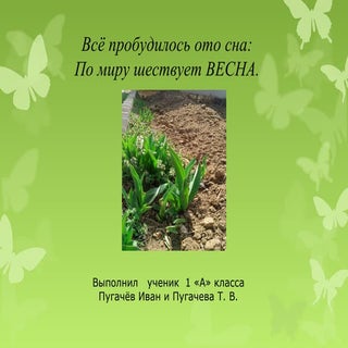 Весна. Пугачев И.