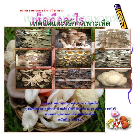 เทคนิคและวิธีการเพาะเลี้ยงเห็ด