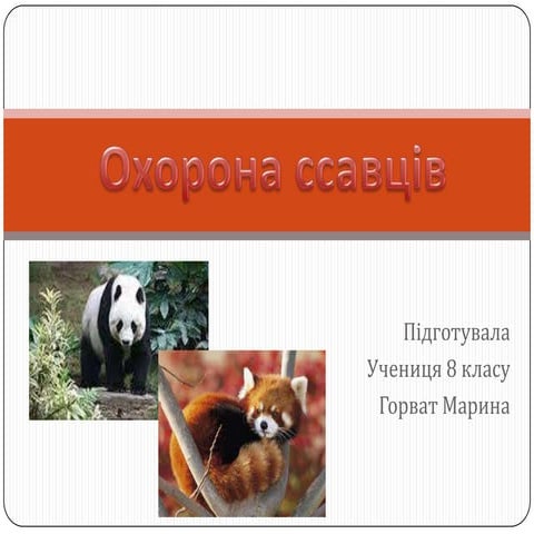 копия охорона ссавців