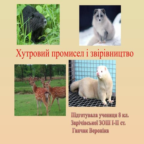 хутровий промисел і звірівництво