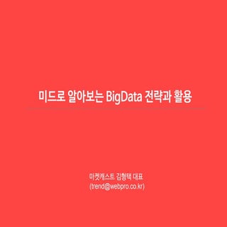 미드로 알아보는 빅데이터(Bigdata) 활용과 전략