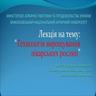 лікарські рослини