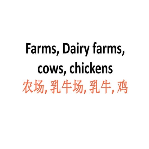 农场,乳牛场,牛,鸡