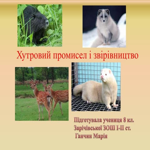 хутровий промисел і звірівництво