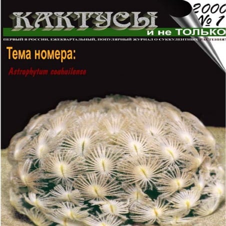 Кактусы. Kaktuslar