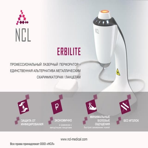 презентация нсл