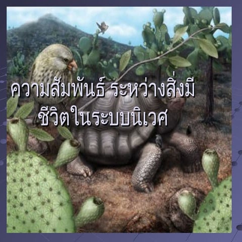ความสัมพันธ์ของสิ่งมีชีวิตในระบบนิเวศ