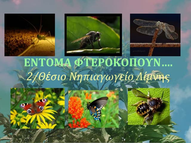 ΕΝΤΟΜΑ ΦΤΕΡΟΚΟΠΟΥΝ...