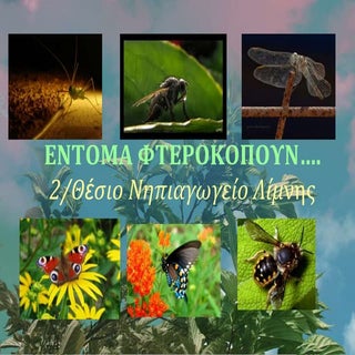 ΕΝΤΟΜΑ ΦΤΕΡΟΚΟΠΟΥΝ...