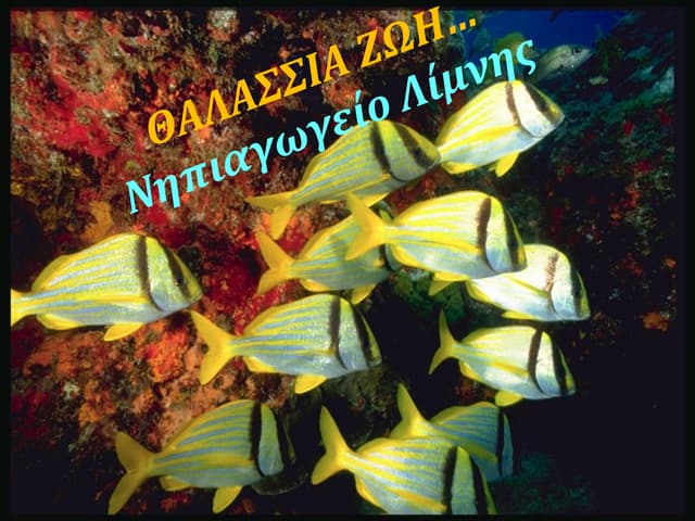 ΘΑΛΑΣΣΙΑ ΖΩΗ...