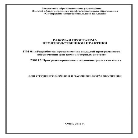 рп по пр практике вт