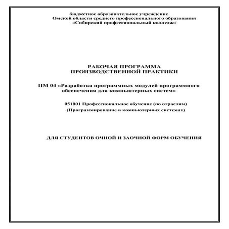 рп по пр практике в