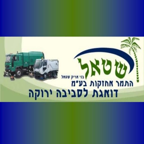 מצגת שטאל התמר