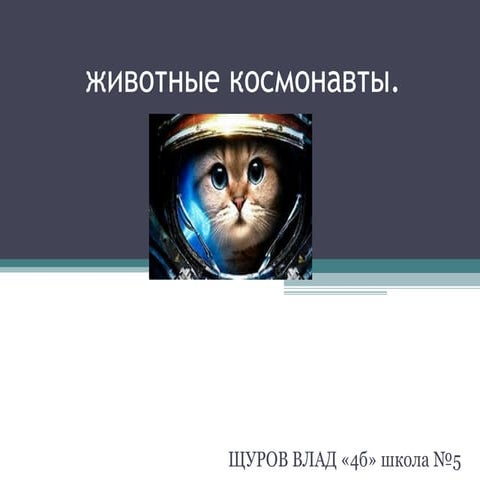 Животные космонавты