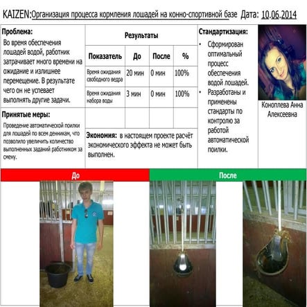 Организация процесса кормления лошадей на конно-спортивной базе