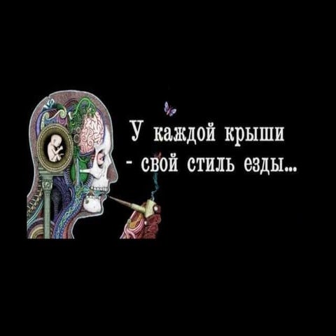 мы оранжевые