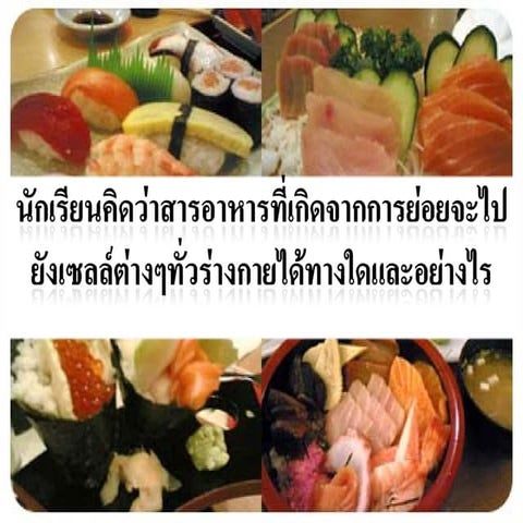 ระบบหมุนเวียนโลหิต