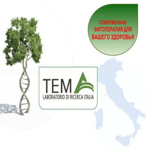 TEMA: О производителе