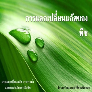 การแลกเปลี่ยนแก๊ส การคายน้ำ และการล...
